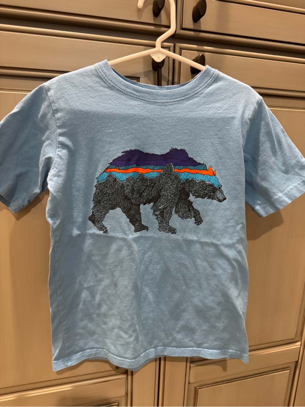 Patagonia Light Blue Tee with Multicolor Bear Graphic